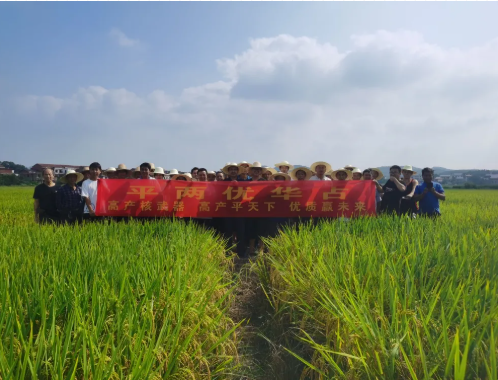 新興隆，新氣象，新未來——記平兩優(yōu)華占衡東觀摩預(yù)訂會