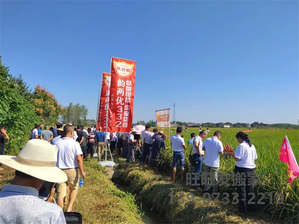 湖南興隆種業(yè)有限公司,長沙稻谷種植與銷售,長沙農(nóng)作物品種的選育,長沙農(nóng)業(yè)病蟲害防治服務(wù)