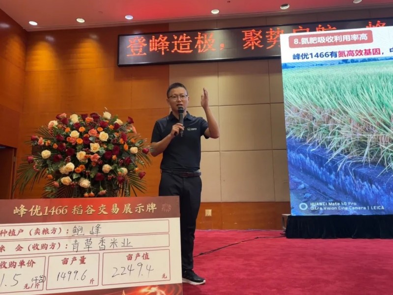 湖南興隆種業(yè)有限公司,長(zhǎng)沙稻谷種植與銷(xiāo)售,長(zhǎng)沙農(nóng)作物品種的選育,長(zhǎng)沙農(nóng)業(yè)病蟲(chóng)害防治服務(wù) 湖南興隆種業(yè)有限公司,長(zhǎng)沙稻谷種植與銷(xiāo)售,長(zhǎng)沙農(nóng)作物品種的選育,長(zhǎng)沙農(nóng)業(yè)病蟲(chóng)害防治服務(wù)