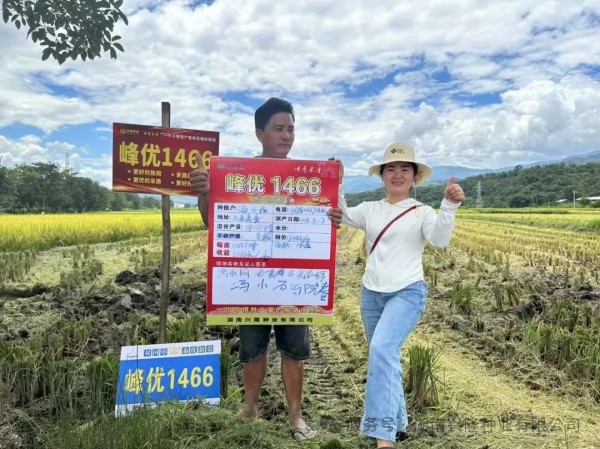 湖南興隆種業(yè)有限公司,長沙稻谷種植與銷售,長沙農(nóng)作物品種的選育,長沙農(nóng)業(yè)病蟲害防治服務(wù) 湖南興隆種業(yè)有限公司,長沙稻谷種植與銷售,長沙農(nóng)作物品種的選育,長沙農(nóng)業(yè)病蟲害防治服務(wù)